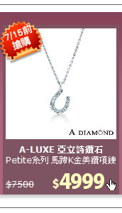 Petite系列 馬蹄K金美鑽項鍊