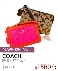 精選人氣手拿包