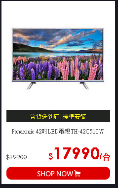 Panasonic 42吋LED電視TH-42C510W