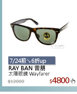 太陽眼鏡 Wayfarer