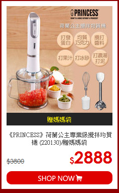 《PRINCESS》荷蘭公主專業級攪拌均質機 (220130)/贈媽媽袋