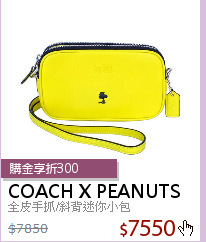 全皮手抓/斜背迷你小包