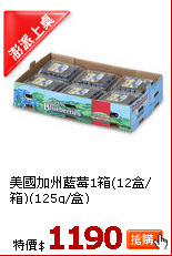 美國加州藍莓1箱(12盒/箱)(125g/盒)