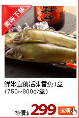 鮮嫩宜蘭活凍香魚1盒(750~800g/盒)