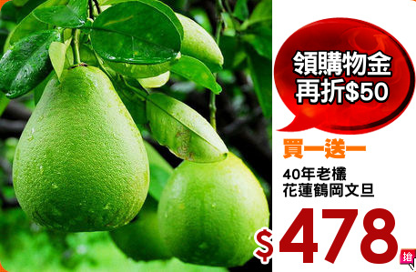 40年老欉
花蓮鶴岡文旦