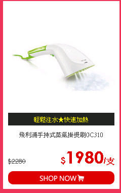 飛利浦手持式蒸氣掛燙刷GC310