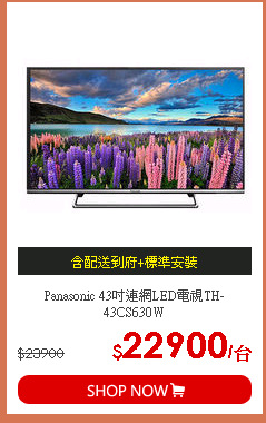 Panasonic 43吋連網LED電視TH-43CS630W
