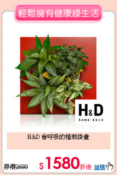 H&D 會呼吸的植栽掛畫