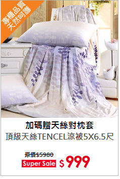頂級天絲TENCEL涼被5X6.5尺