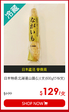 日本特級北海道山藥(L)1支(600g±5%/支)