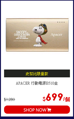 APACER 行動電源B510金