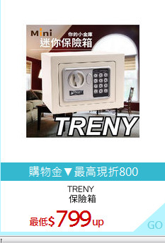 TRENY 
保險箱