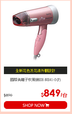 國際負離子吹風機EH-NE41-G(P)