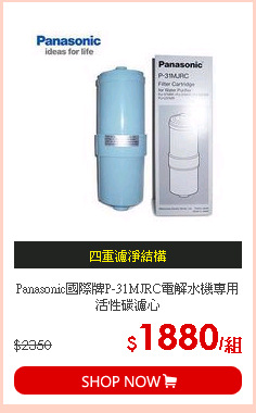 Panasonic國際牌P-31MJRC電解水機專用活性碳濾心