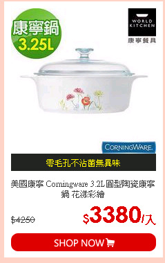 美國康寧 Corningware 3.2L圓型陶瓷康寧鍋 花漾彩繪