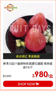 鮮果日誌六龜鄉特級黑鑽石蓮霧 精美禮盒4台斤