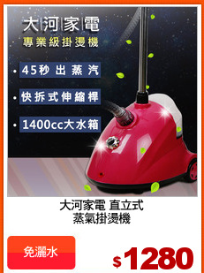 大河家電 直立式
蒸氣掛燙機