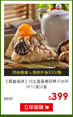 【嘉義福源】花生蛋黃香菇栗子肉粽(4入/盒)2盒