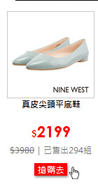 真皮尖頭平底鞋