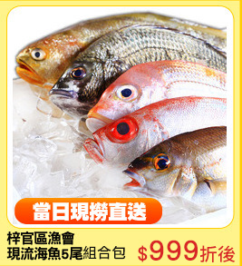 梓官區漁會
現流海魚5尾