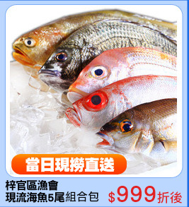 梓官區漁會
現流海魚5尾組合包