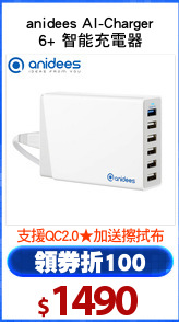 anidees AI-Charger
6+ 智能充電器