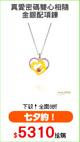真愛密碼雙心相隨
金銀配項鍊