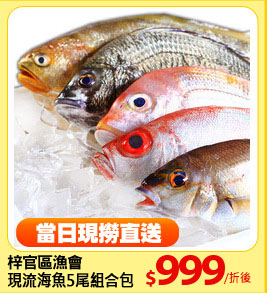 梓官區漁會
現流海魚5尾組合包