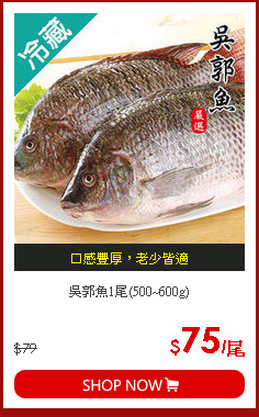 吳郭魚1尾(500~600g)