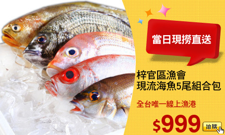 梓官區漁會
現流海魚5尾組合包