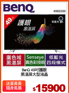BenQ 49吋護眼
黑湛屏大型液晶