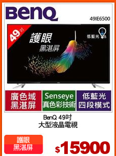 BenQ 49吋
大型液晶電視
