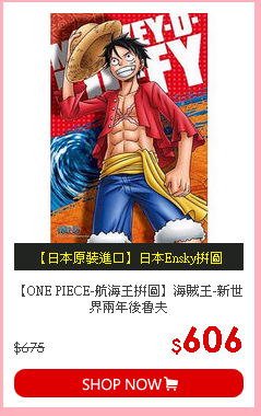 【ONE PIECE-航海王拼圖】海賊王-新世界兩年後魯夫