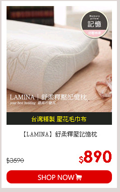 【LAMINA】舒柔釋壓記憶枕