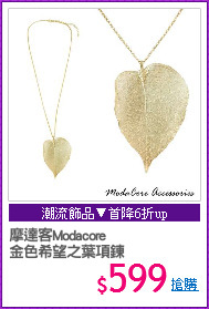 摩達客Modacore
金色希望之葉項鍊