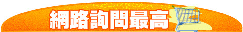 網路詢問最高