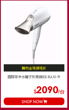 國際奈米水離子吹風機EH-NA30-W