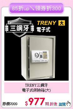 TRENY三鋼牙<BR>
電子式保險箱(大)