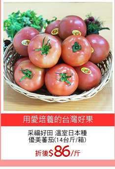 采福好田 溫室日本種
優美蕃茄(14台斤/箱)