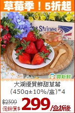 大湖優質鮮甜草莓
(450g±10%/盒)*4