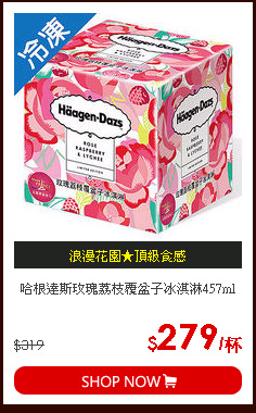 哈根達斯玫瑰荔枝覆盆子冰淇淋457ml