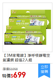 【3M家電館】淨呼吸靜電空氣濾網 超值2入組