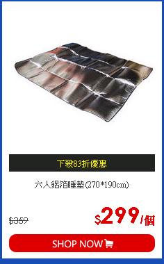 六人鋁箔睡墊(270*190cm)