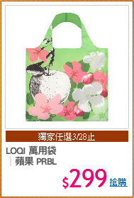 LOQI 萬用袋
│蘋果 PRBL