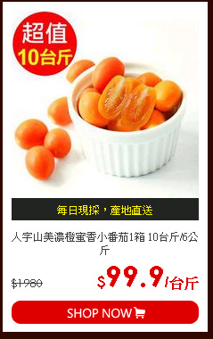 人字山美濃橙蜜香小番茄1箱 10台斤/6公斤