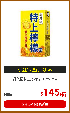 御茶園特上檸檬茶 TP250*24