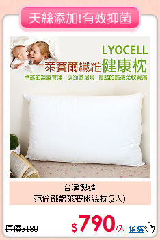 台灣製造<BR>范倫鐵諾萊賽爾絲枕(2入)