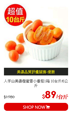 人字山美濃橙蜜香小番茄1箱 10台斤/6公斤
