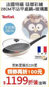 法國特福 琺瑯彩繪
28CM不沾平底鍋+玻璃蓋