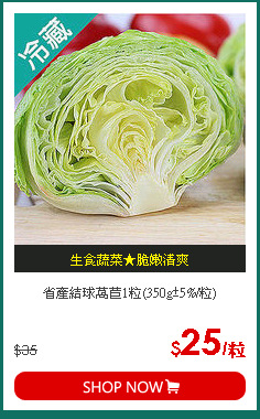 省產結球萵苣1粒(350g±5%/粒)
